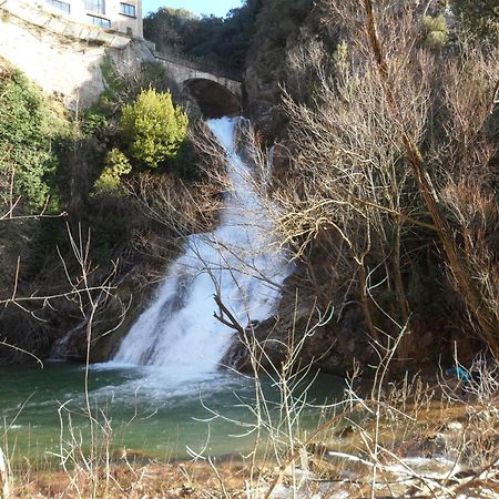 La Pinede De Manon Bed & Breakfast Barjols Luaran gambar